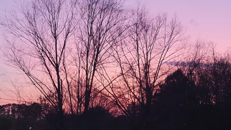 Blackburn II Park - Atlanta, GA