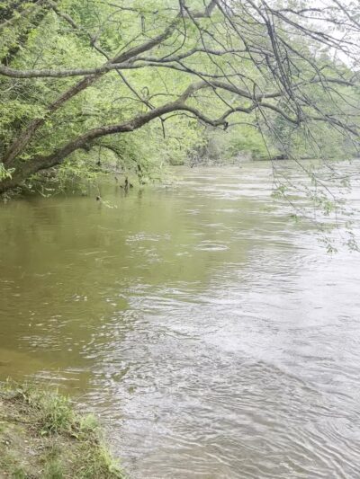 Bob Callan Trailhead - Atlanta, GA