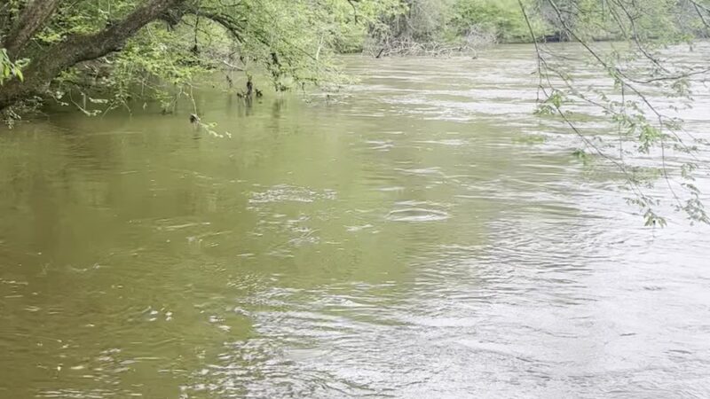 Bob Callan Trailhead - Atlanta, GA