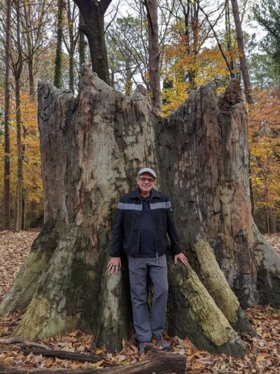 Briarlake Forest Park - Atlanta, GA