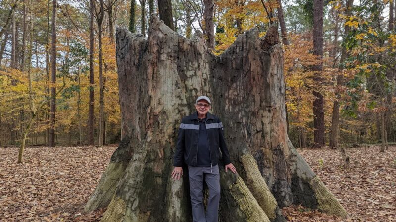 Briarlake Forest Park - Atlanta, GA