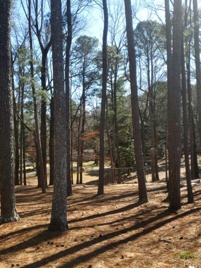 Brook Park - Atlanta, GA