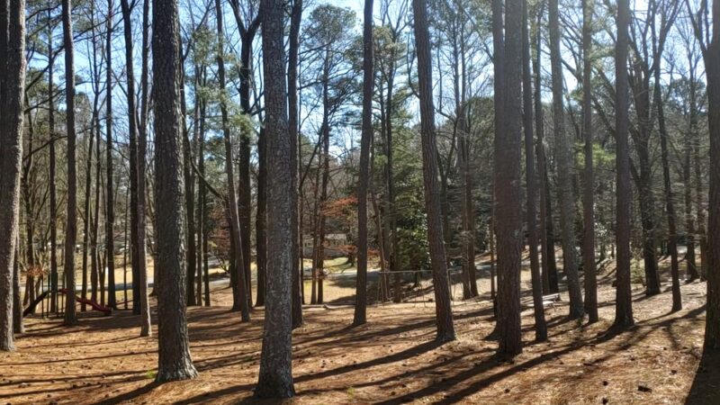 Brook Park - Atlanta, GA