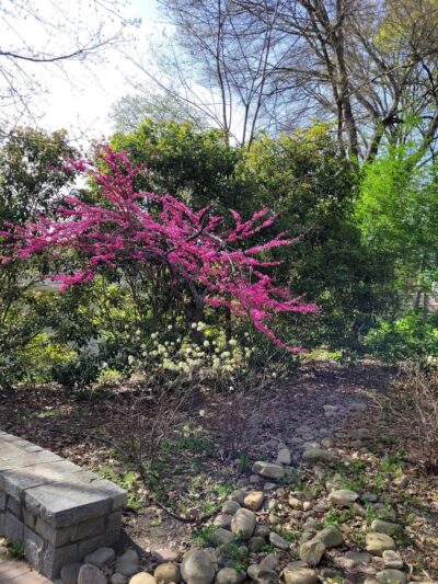 Clack's Corner Park - Atlanta, GA