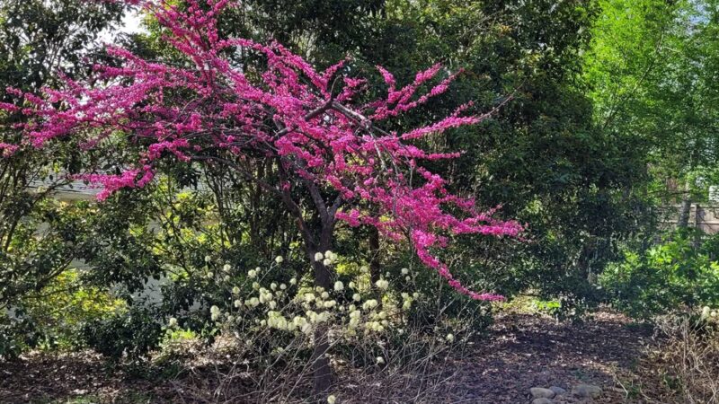 Clack's Corner Park - Atlanta, GA