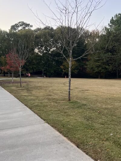 Georgian Hills Park - Atlanta, GA