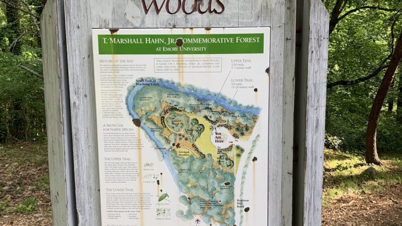 Hahn Woods - Atlanta, GA