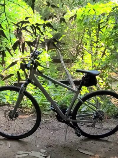 Hahn Woods - Atlanta, GA