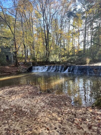 Hahn Woods - Atlanta, GA