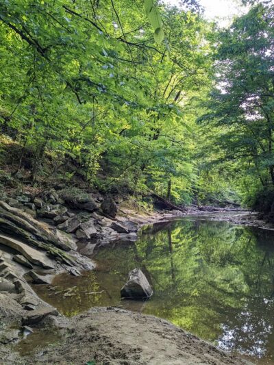 Hahn Woods - Atlanta, GA