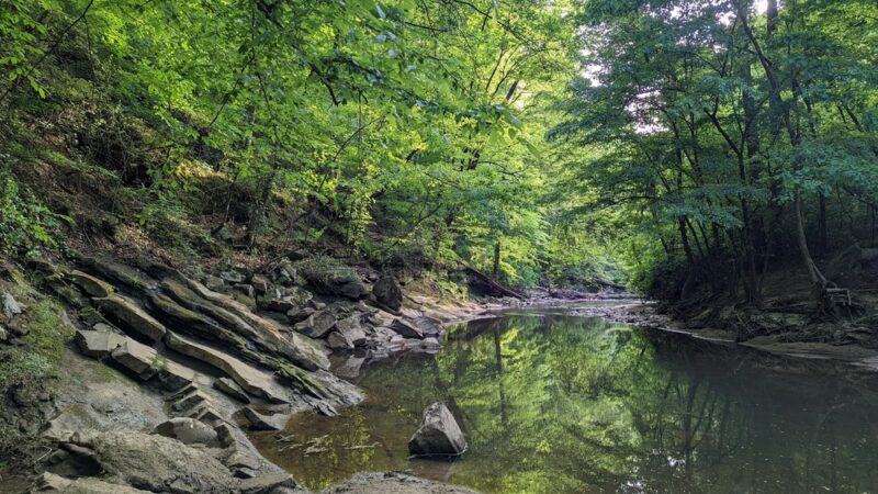 Hahn Woods - Atlanta, GA