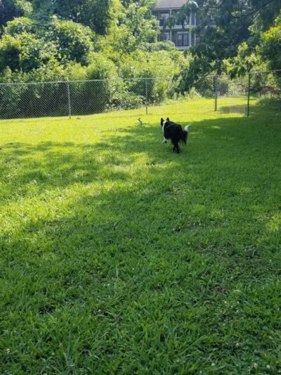 Keswick Baseball & Softball Field - Atlanta, GA