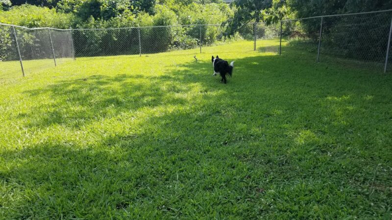 Keswick Baseball & Softball Field - Atlanta, GA