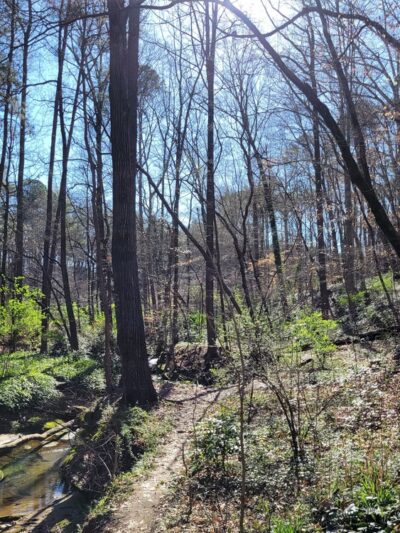 Kittredge Park - Atlanta, GA