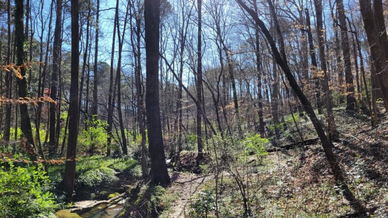 Kittredge Park - Atlanta, GA