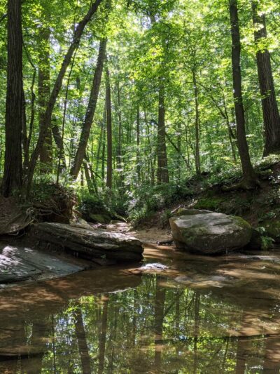 Kittredge Park - Atlanta, GA