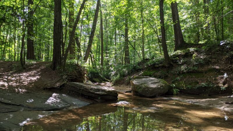 Kittredge Park - Atlanta, GA
