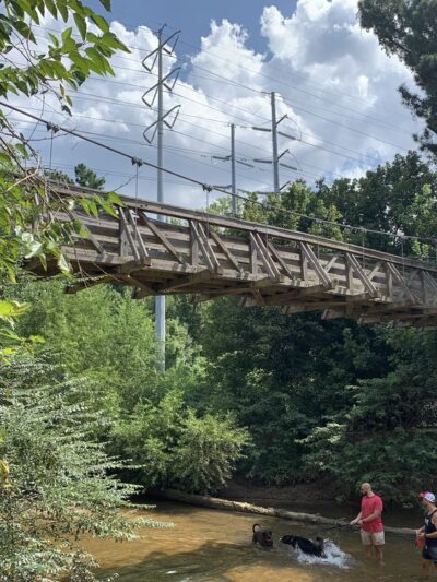 Morningside Nature Preserve - Atlanta, GA