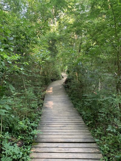 Morningside Nature Preserve - Atlanta, GA
