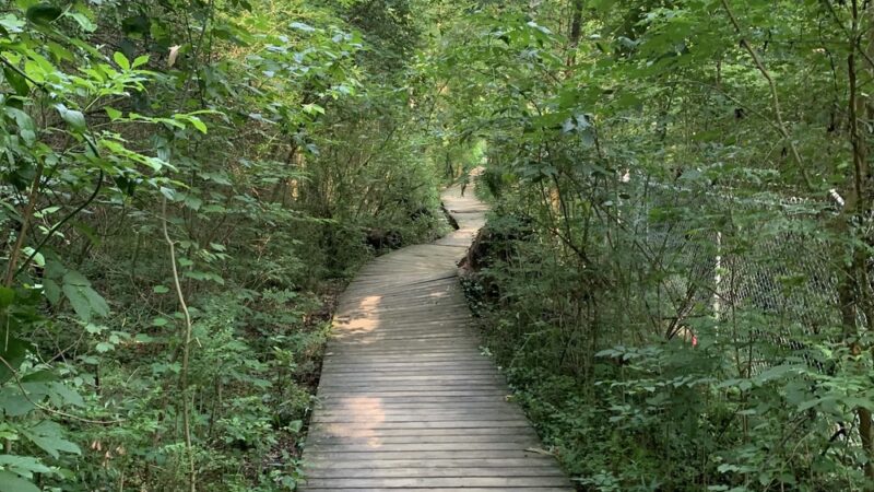 Morningside Nature Preserve - Atlanta, GA