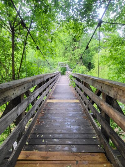 Morningside Nature Preserve - Atlanta, GA
