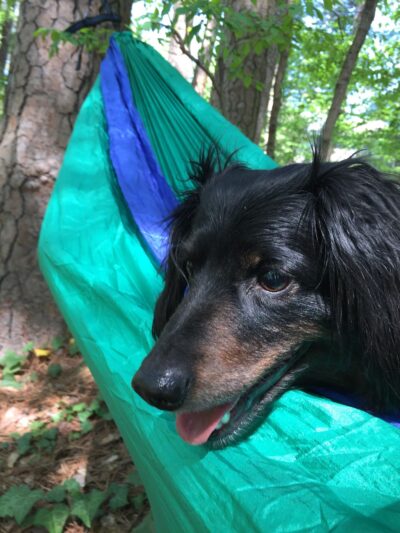 Parkside Drive Park - Atlanta, GA