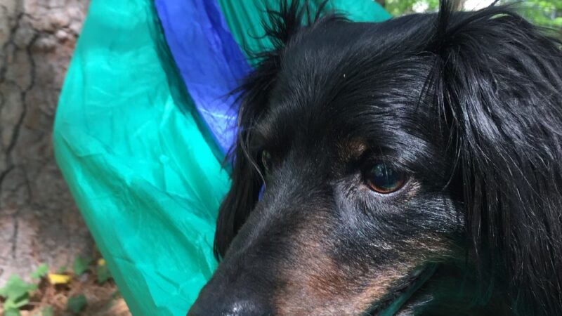 Parkside Drive Park - Atlanta, GA