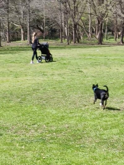 Tanyard Creek Park - Atlanta, GA