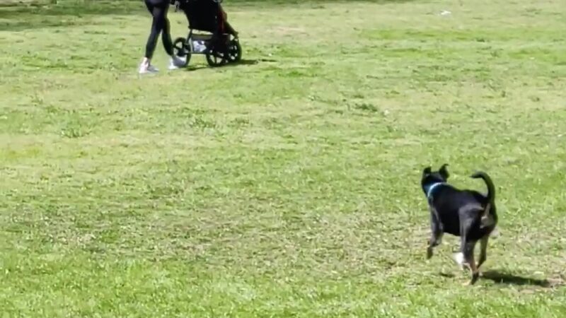 Tanyard Creek Park - Atlanta, GA