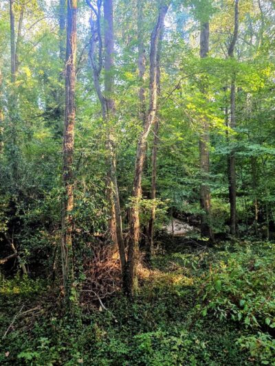 Whetstone Creek PATH Trailhead - Atlanta, GA