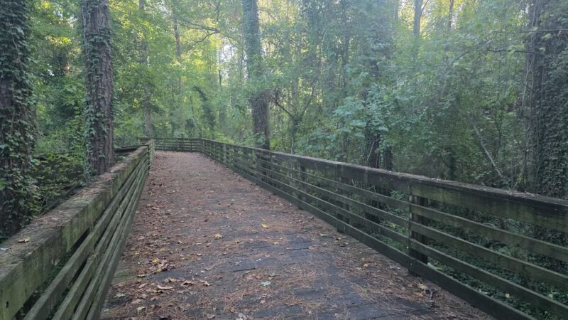 Whetstone Creek PATH Trailhead - Atlanta, GA