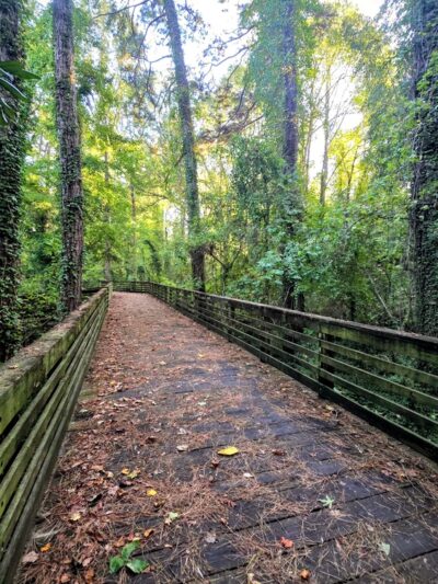 Whetstone Creek PATH Trailhead - Atlanta, GA