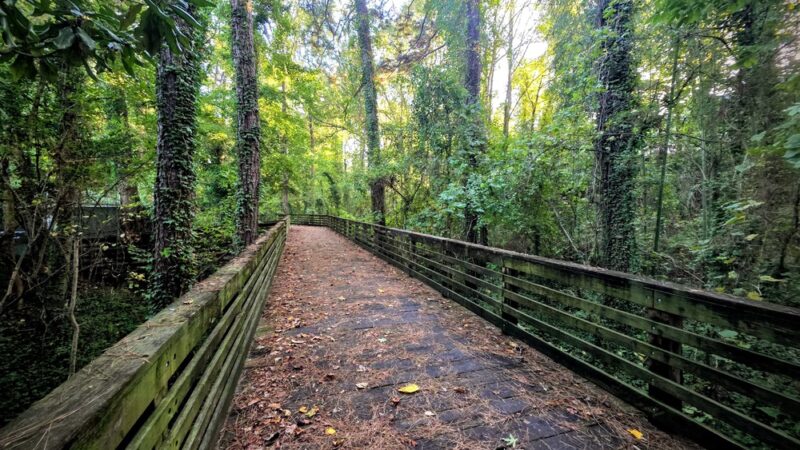 Whetstone Creek PATH Trailhead - Atlanta, GA