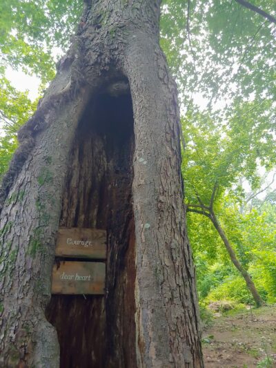 Zonolite Park - Atlanta, GA