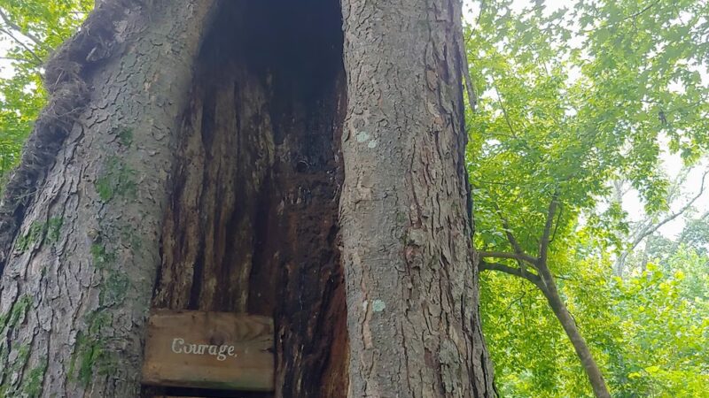 Zonolite Park - Atlanta, GA