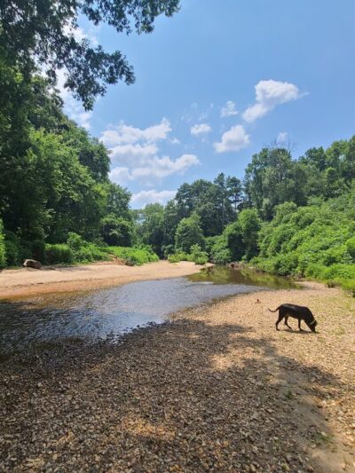 Zonolite Park - Atlanta, GA