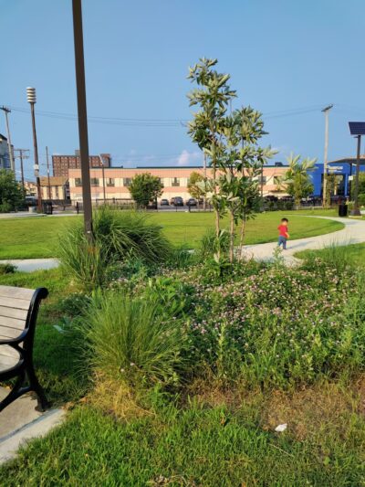 Brown Park - Atlantic City, NJ