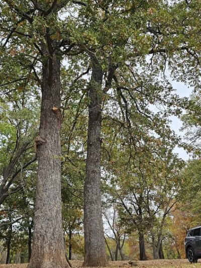 Atoka Oklahoma Park 1 - Atoka, OK