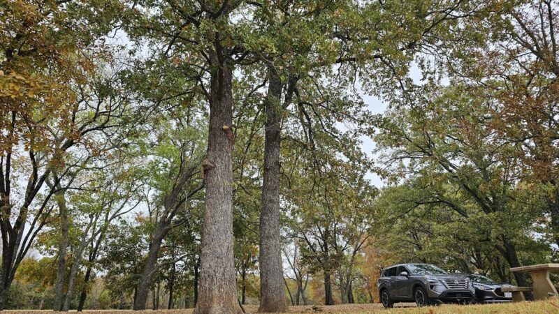 Atoka Oklahoma Park 1 - Atoka, OK