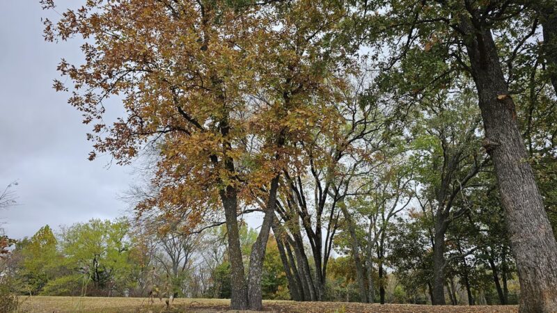 Atoka Oklahoma Park 1 - Atoka, OK