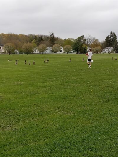 Attica Youth Athletics - Attica, NY