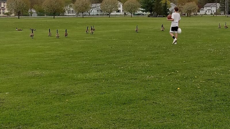 Attica Youth Athletics - Attica, NY