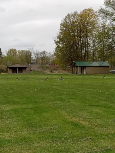 Attica Youth Athletics - Attica, NY