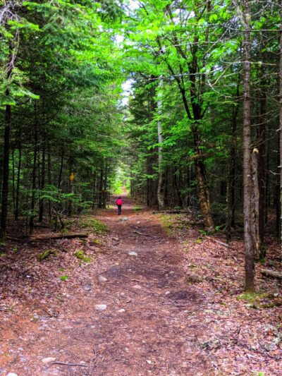 Catamount Mountain Trailhead - Au Sable Forks, NY
