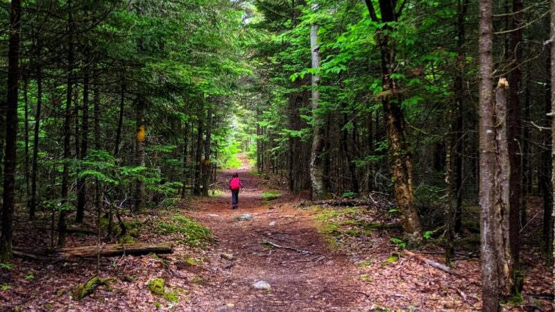 Catamount Mountain Trailhead - Au Sable Forks, NY