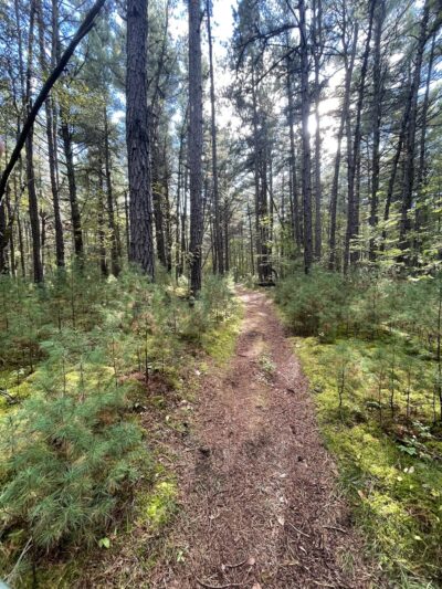 Clintonville Pine Barrens Preserve Trail - Au Sable Forks, NY
