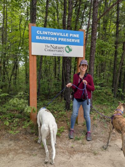 Clintonville Pine Barrens Preserve Trail - Au Sable Forks, NY