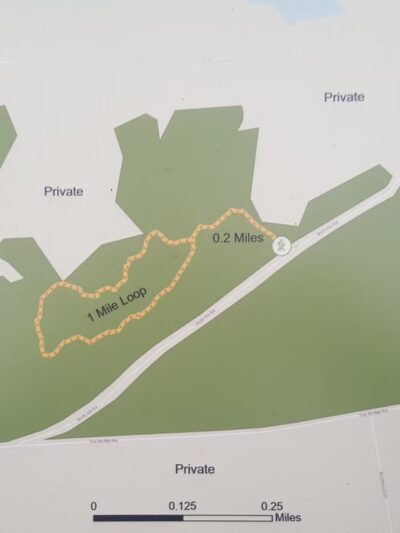 Clintonville Pine Barrens Preserve Trail - Au Sable Forks, NY