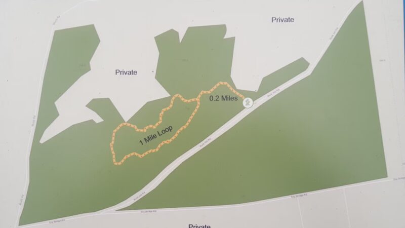 Clintonville Pine Barrens Preserve Trail - Au Sable Forks, NY
