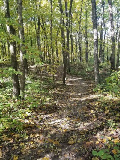 Auburn Township Park - Auburn, IL